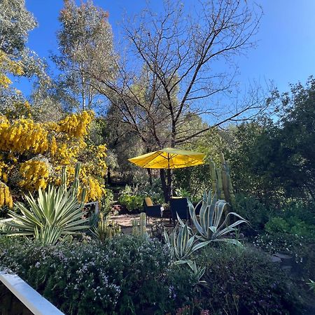 Villa La Reforma - Newly Designed 4Br House & Pool In Los Angeles By Topanga Bagian luar foto